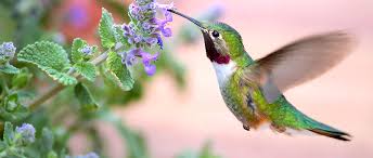 last days of writers week 9